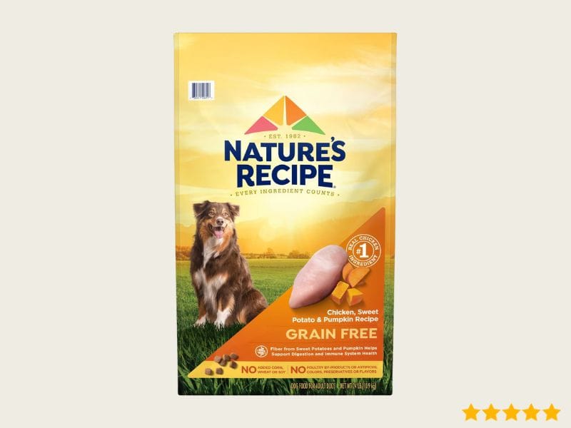 Affordable Raw Dog Food