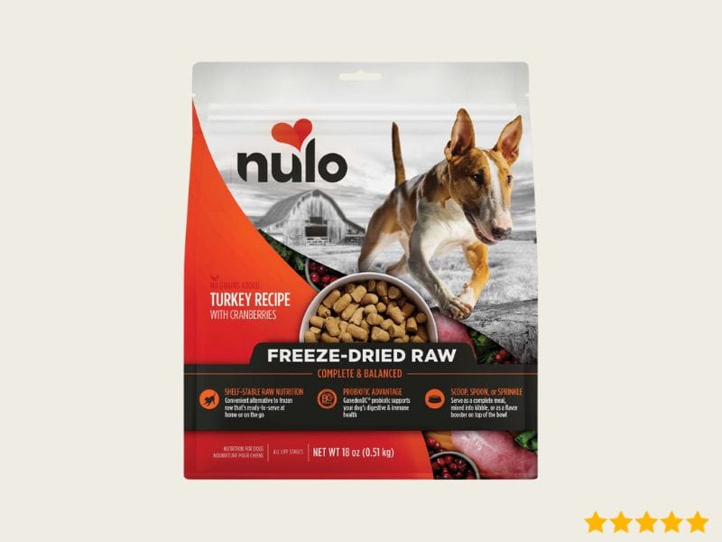 Best Raw Meat Food For Dog