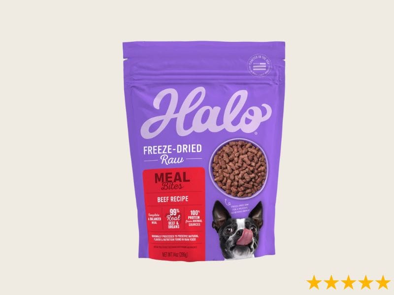 Dog Skin Allergies Raw Food Diet