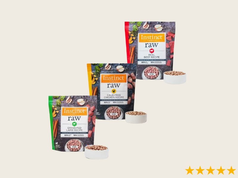 Raw Food Diet Dogs Skin Allergies