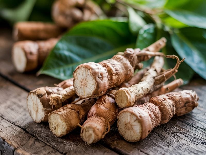 Ashwagandha Hiyo Drink Ingredients