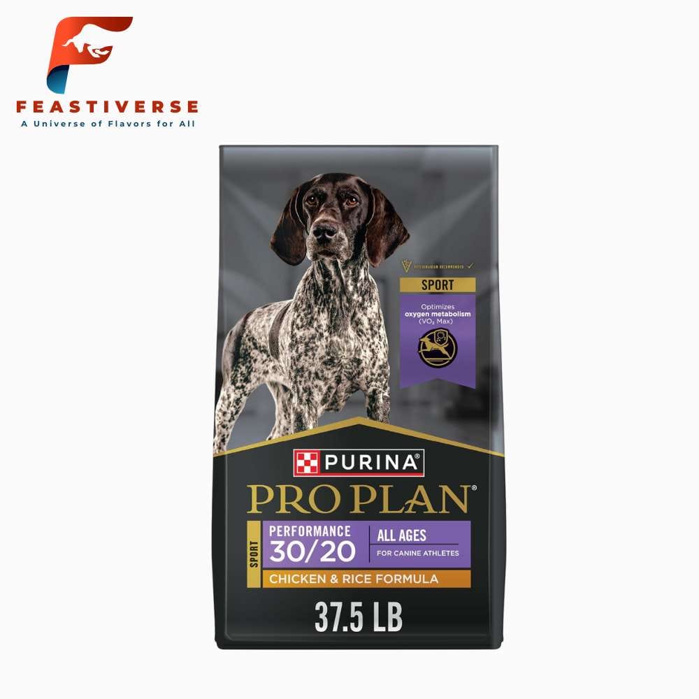frozen raw food for dogs
